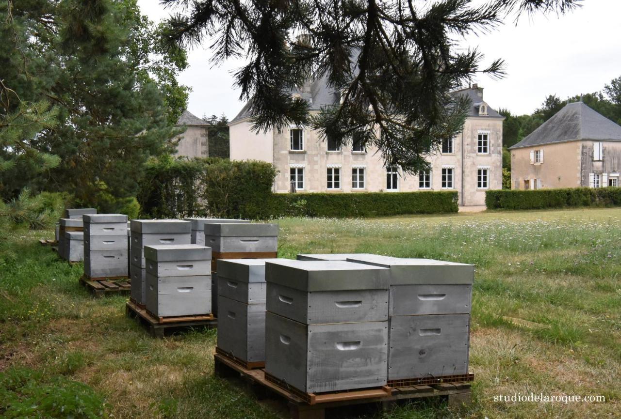 Domaine De La Briouse Bed and Breakfast Sanxay Eksteriør billede