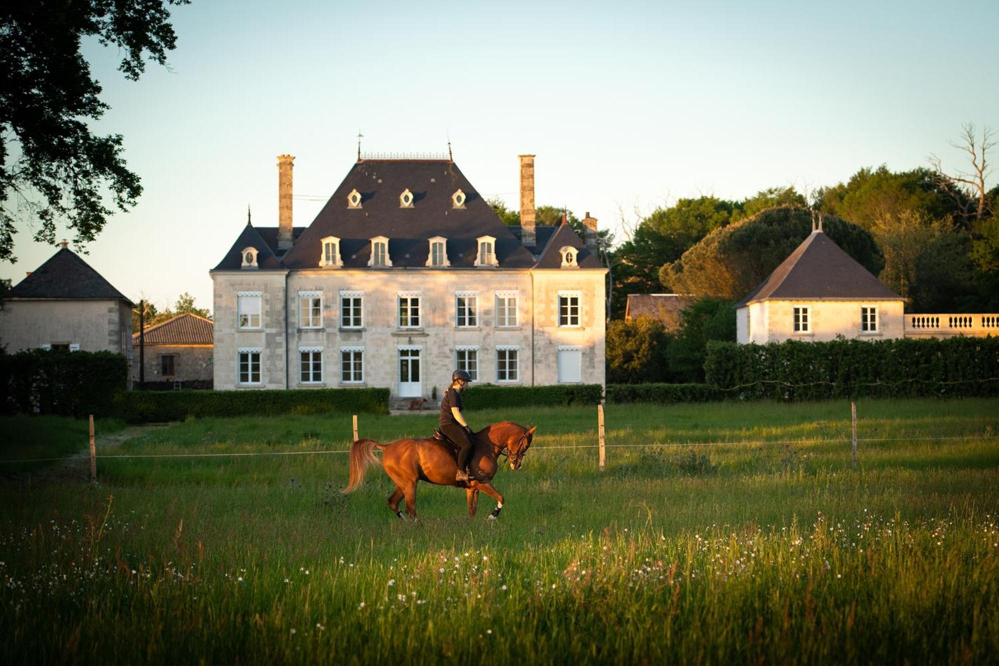 Domaine De La Briouse Bed and Breakfast Sanxay Eksteriør billede