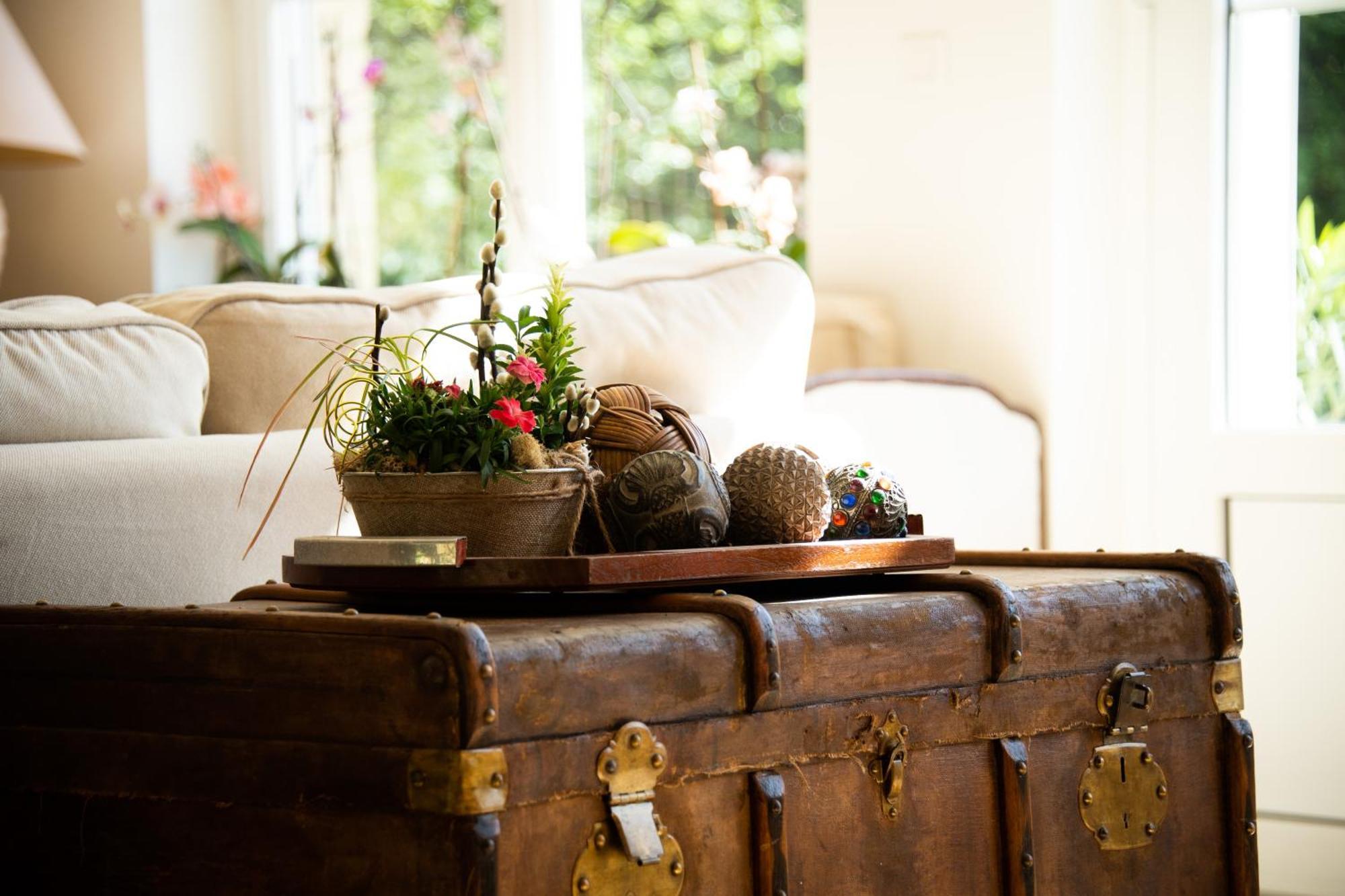Domaine De La Briouse Bed and Breakfast Sanxay Eksteriør billede